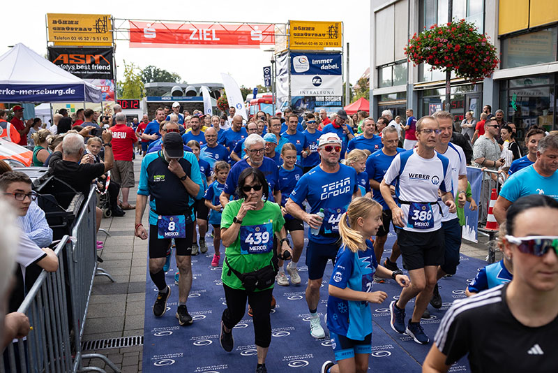 Lauf mit Lions